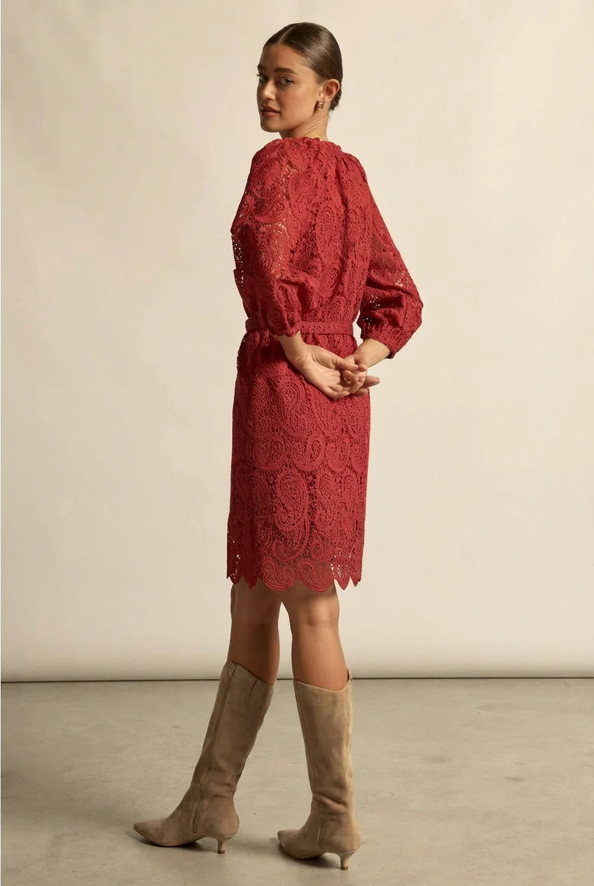 Wisp Dress Raspberry