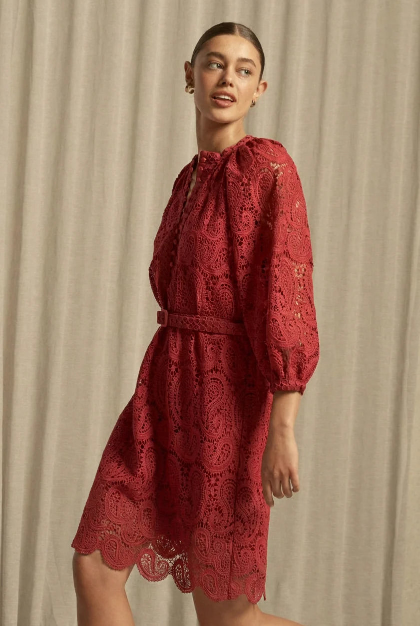 Wisp Dress Raspberry