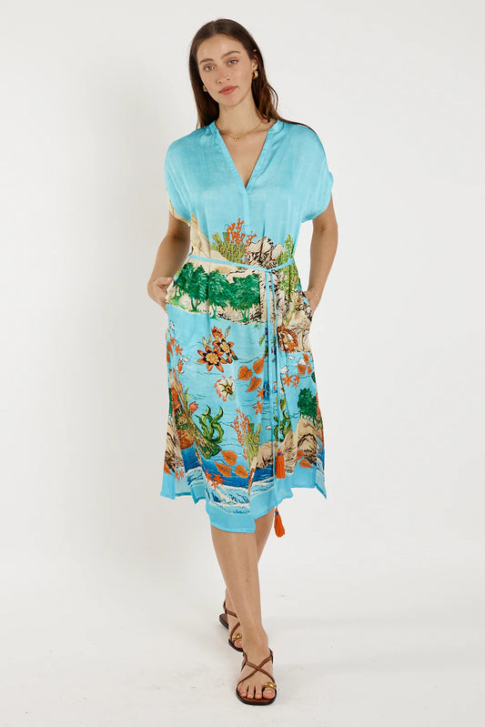 Montpellier Dress Print