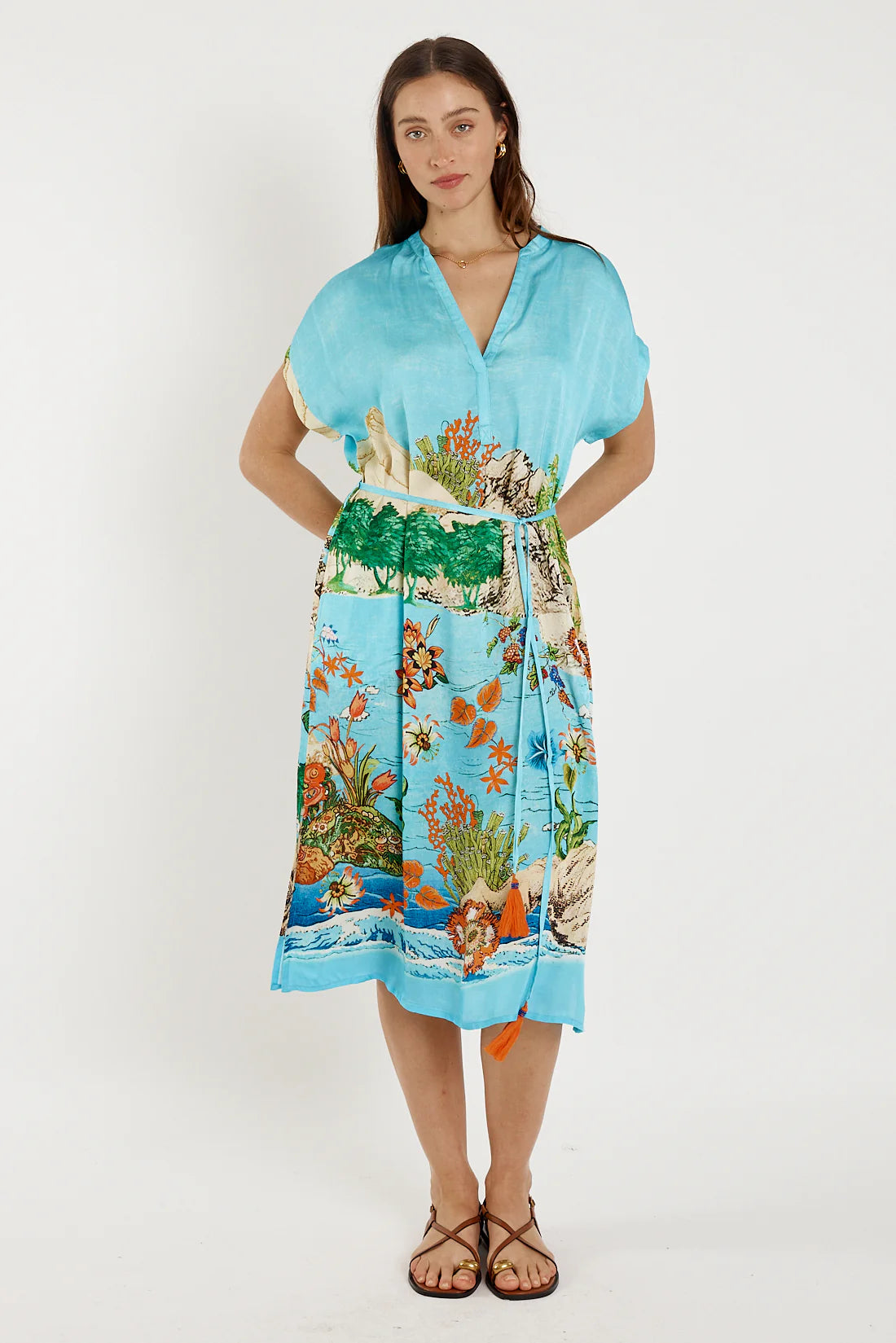 Montpellier Dress Print
