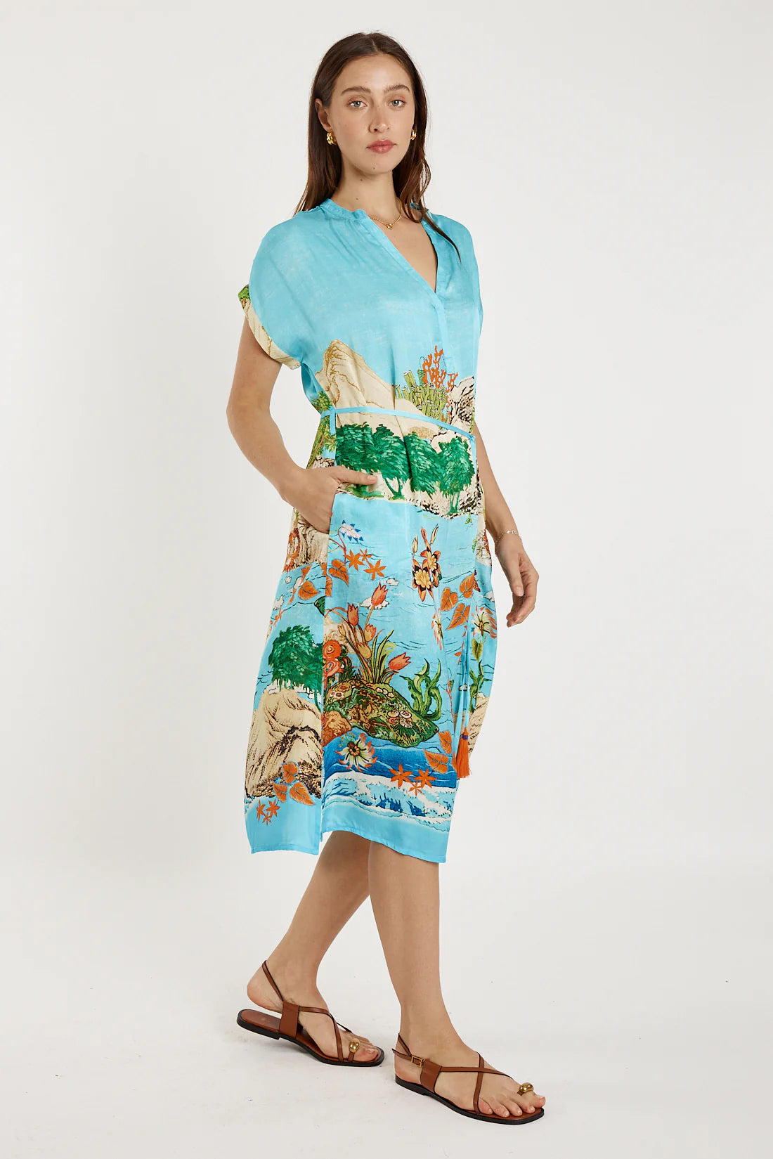 Montpellier Dress Print